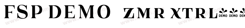 FSP DEMO   zmr xtrl字体转换